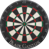 Black Canyon - Bladed Wire Dart Board